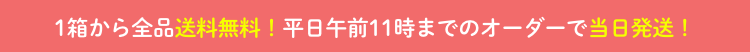 1箱から全品送料無料！平日12時(正午)までのオーダーで当日発送！